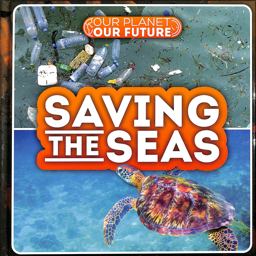 Saving the Seas