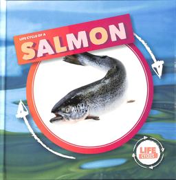 Life Cycle of a Salmon