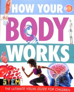 How Your Body Works