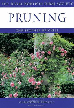 Pruning