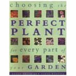 Choosing Perfect Plant-Pb