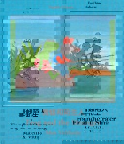 Frog and the Stranger