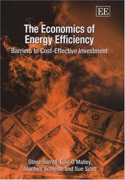 The Economics of Energy Efficiency