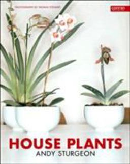 House Plants House Plants