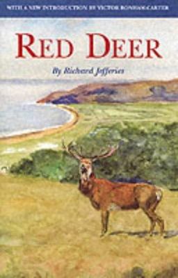 Red Deer