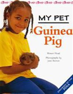 Guinea Pig