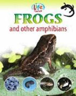 Frogs and Other Amphibians
