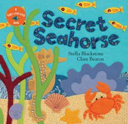 Secret Seahorse  9781841489377 Front Cover