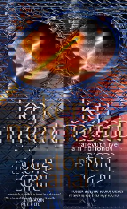 The Stone Canal  9781841490601 Front Cover