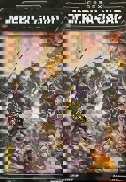 Codex Imperial Guard