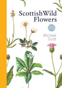Scottish Wild Flowers Mini Guide  9781841589541 Front Cover