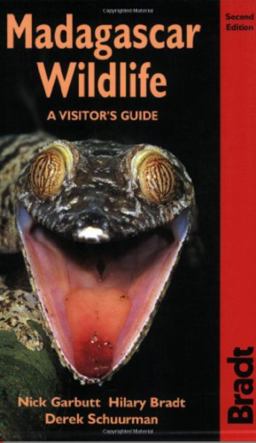 Madagascar Wildlife A Visitor's Guide 2nd 9781841620299 Front Cover