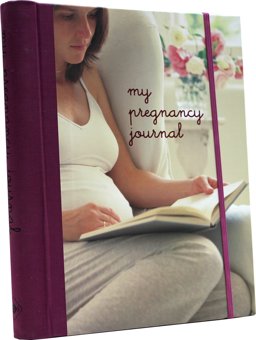 My Pregnancy Journal  9781841724355 Front Cover
