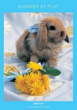 Bunnies Notecards