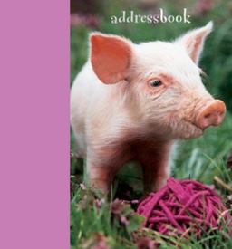 Piglets Mini Address Book