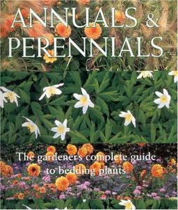 Annuals and Perennials