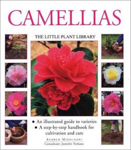 Camellias