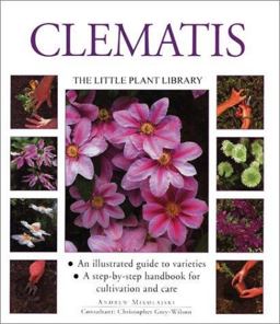 Clematis