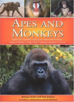 Apes and Monkeys