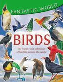 Fantastic World of Birds Fantastic World of Birds