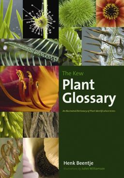 Kew Plant Glossary An Illustrated Dictionary of Plant Terms  9781842464229 Front Cover