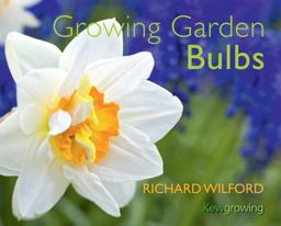 Growing Garden Bulbs Growing Garden Bulbs
