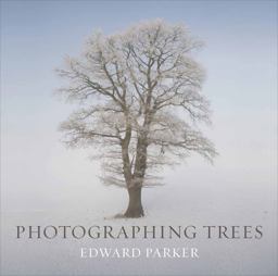 Photographing Trees