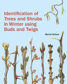 Identification of Trees and Shrubs in Winter Using Buds and Twigs  9781842466506 Front Cover