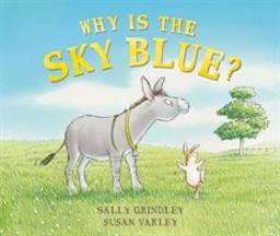 Why Is the Sky Blue?  9781842705896 Front Cover