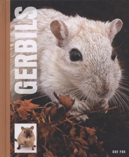Gerbils