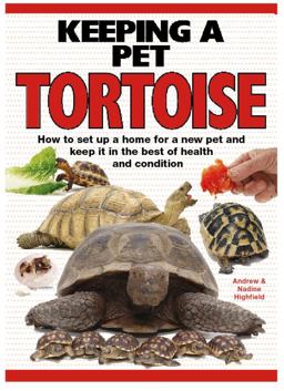 Keeping a Pet Tortoise