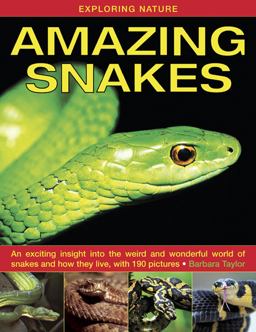 Exploring Nature - Amazing Snakes