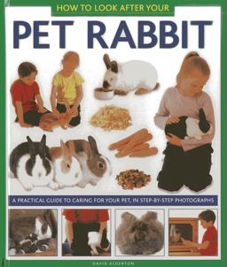 How to Look after Your Pet Rabbit