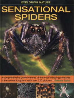 Exploring Nature - Sensational Spiders