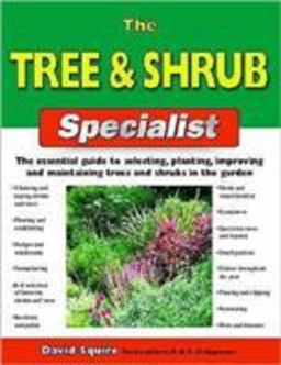 Tree and Shrub Tree and Shrub