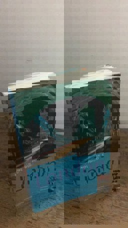 The Rough Guide to London