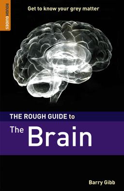 The Rough Guide to Brain