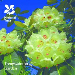 Trengwainton Garden