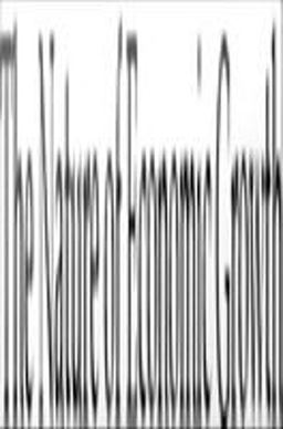 The Nature of Economic Growth The Nature of Economic Growth