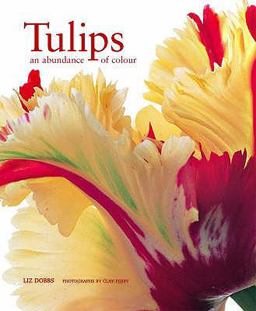 Tulip