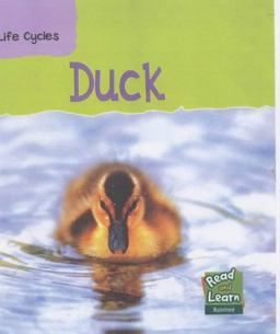 Read and Learn: Life Cycles - Duck