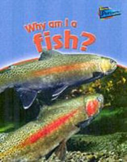 Why Am I a Fish?