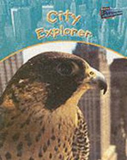 Raintree Perspectives: City Explorer Paperback