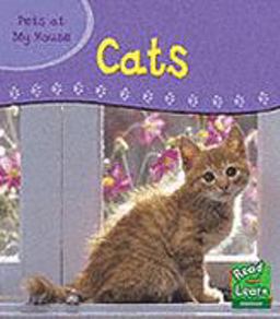 Pets in My House: Cat