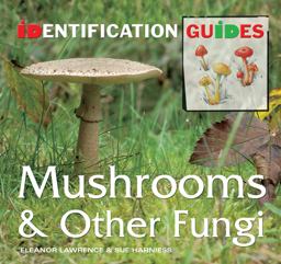 Mushrooms and Other Fungi