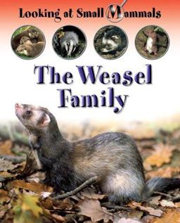 Weasels