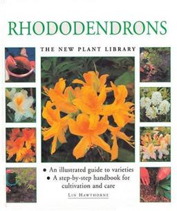 Rhododendrons