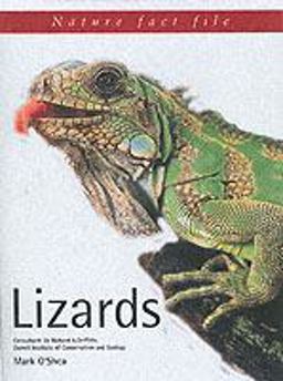 Lizards