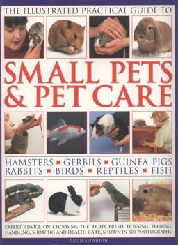 Small Pets and Pet Care
