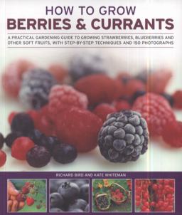How to Grow Berries and Currants